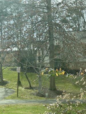 Ekoji Buddhist Temple