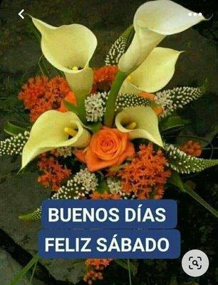 Hercules Medical, PC