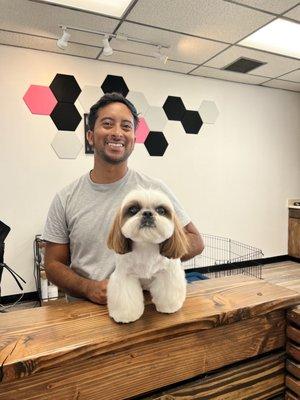 Chris did an amazing job in my Shih Tzu!!!