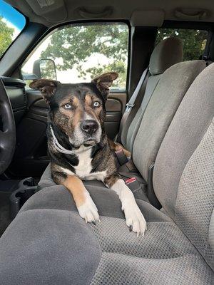 Santiam Equine Cordon Rd Vet Clinic