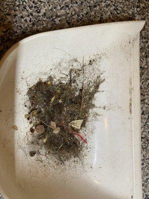 Pixi & Dixi Cleaning Services