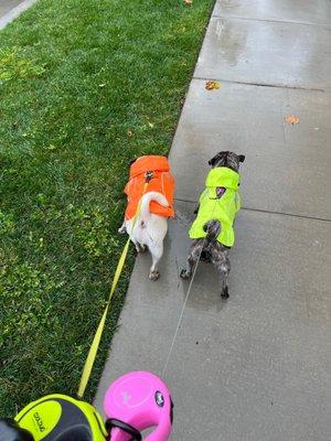 Bubba's Hug A Pug Rescue