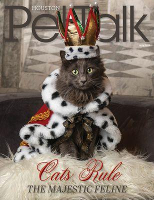 Briargrove Animal Clinic