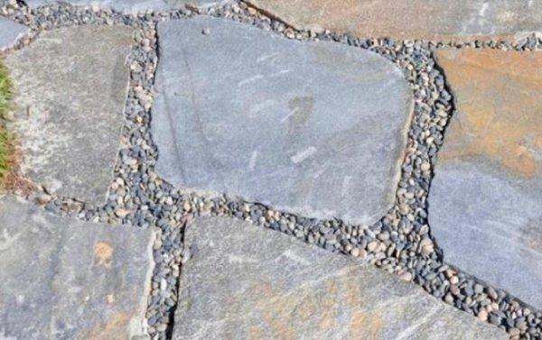 D'vine Landscape Design