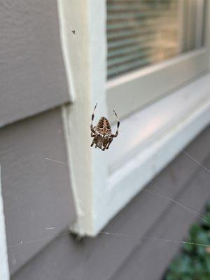 Active Prime Pest Control