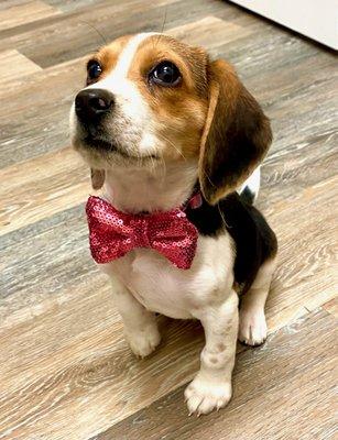 Big Texas Real Estate Group