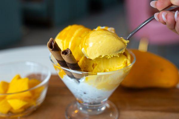 Mango Mango Dessert