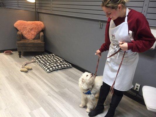 Little fluff ball before the works :)