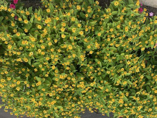 Children's Garden Park