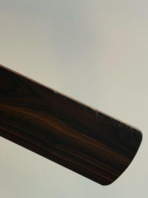 Ceiling fans... definitely not dusted. At all.