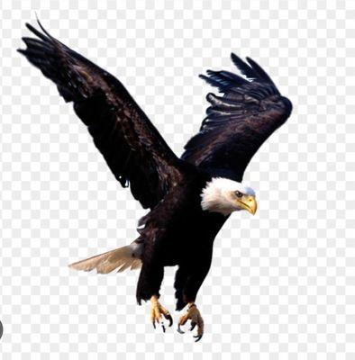 Eagle
