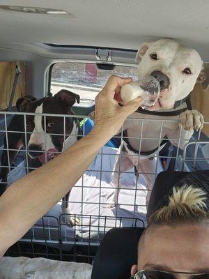 Northgate True Value