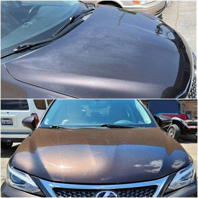 Top is the hood prior to paint. Bottom picture is the hood repainted, and blended 20% in to each fender. GREAT WORK!