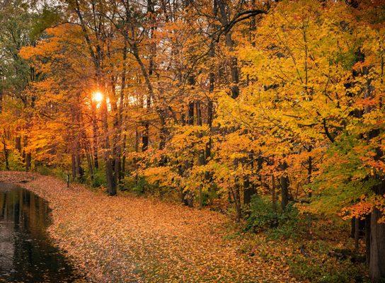 Hampshire Court Apartments