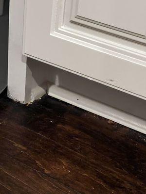 Carter's Floor And Surface Care