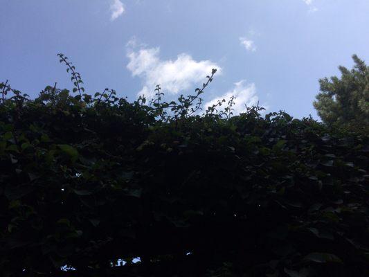 Wilson & Wynn Interventions Plc