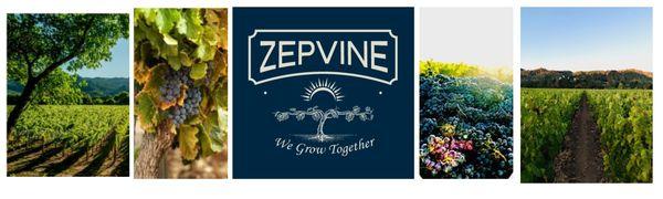 ZepVine