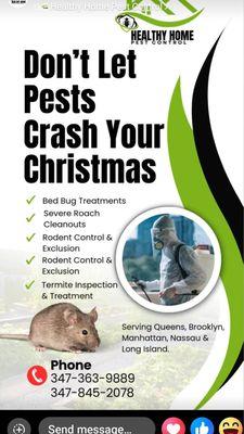Healthy Home Pest Control