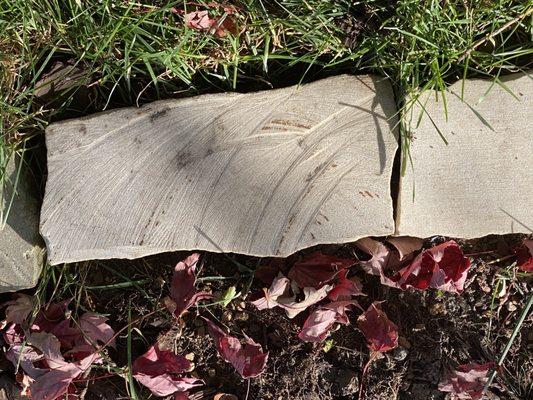 Magnolia Landscape & Design Company