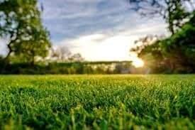 Natural Green Lawn services