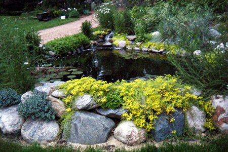 Arborgate Horticultural