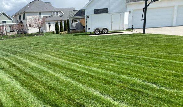 Nemire's Lawn Service