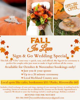 Beyond The Ink Notary