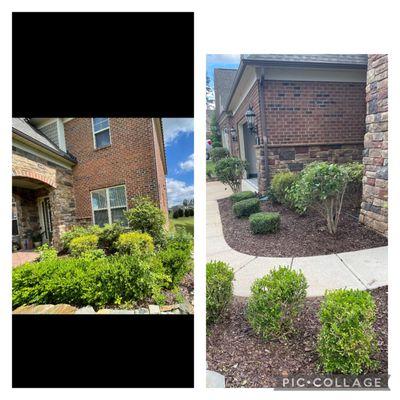 Glow Up Gardens