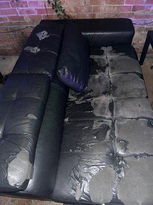 Trash couch for vip.