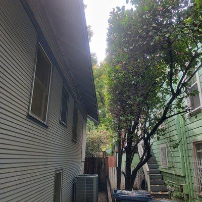 Royalties Landscaping Maintenance