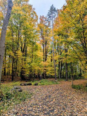 Fenner Nature Center