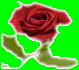 Westfall Adult Foster Care