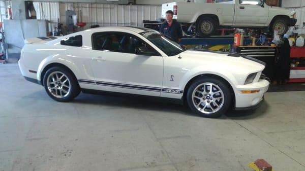 Alpine Tire and Auto