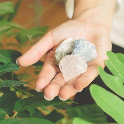 Velvet Scarf Company