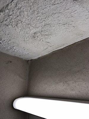 Kew Motor Inn
