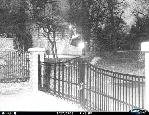 Capital Investigations