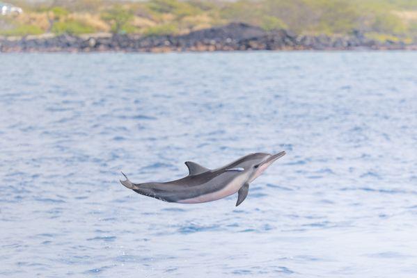 Hawaiian Adventures Kona