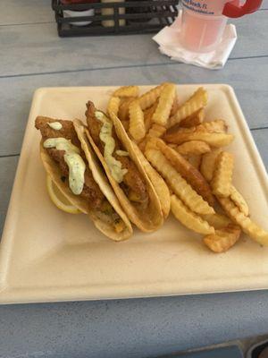 Fried grouper tacos