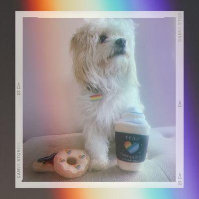 happy pride month!! - the coffee loft & team mascot