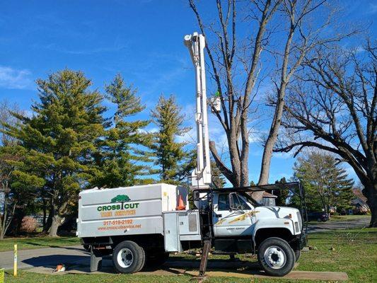 Cross Cut Tree Services and Landscaping