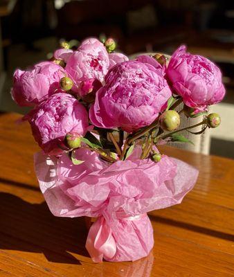 Urban Blossom and Decor