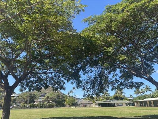 Lanikai Park