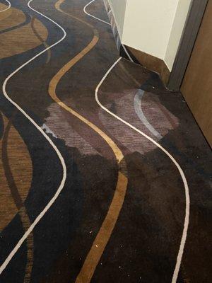 Stained carpet in the whole building