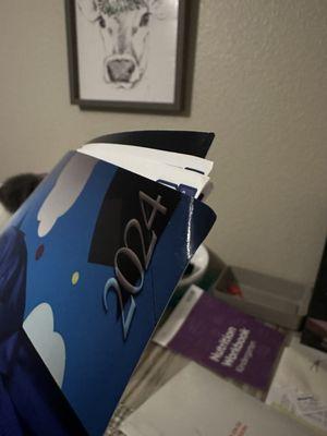 The House Of Portraits