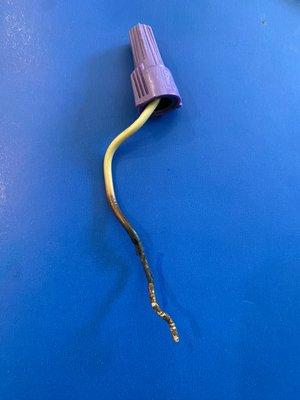 Tested and True Electric