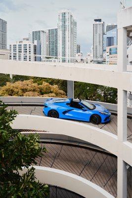 Miami Luxury Cruisers