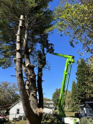 Tuff Cuts landscaping and pressure washing