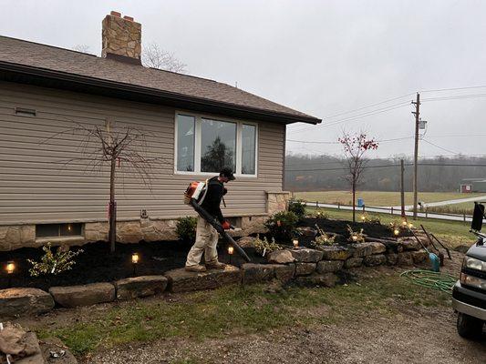 DJ’s tree assassins