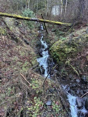 Multnomah County Sheriff's Office