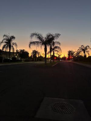 Camellia Garden Family Apartments